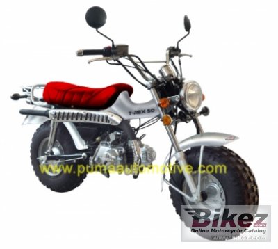 2010 Puma T-Rex 125 photo